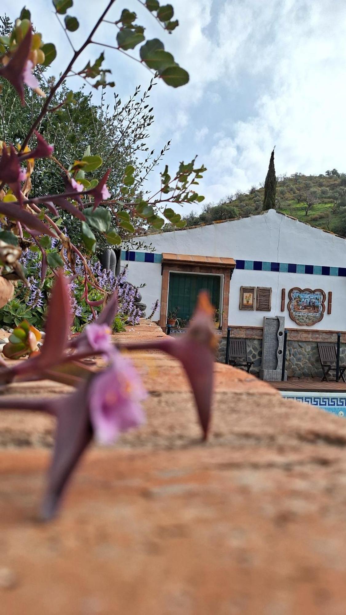 Finca Los Burros Tolatán Exterior foto